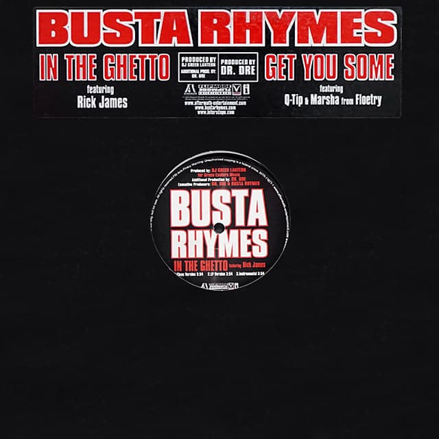 Busta Rhymes // In The Ghetto / Get You Some